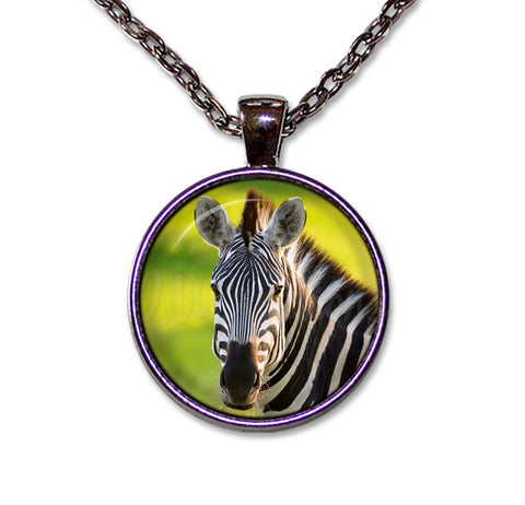 Beautiful Zebra