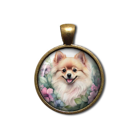 Sweet Pomeranian