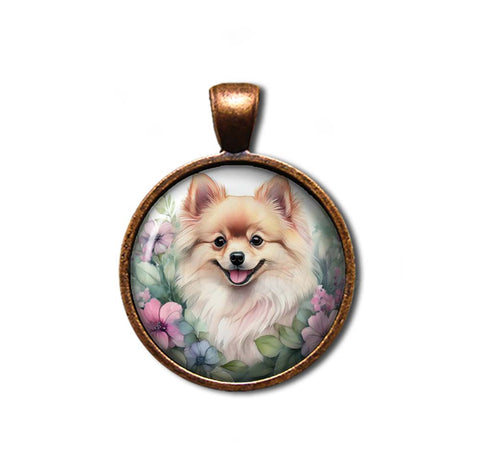 Sweet Pomeranian