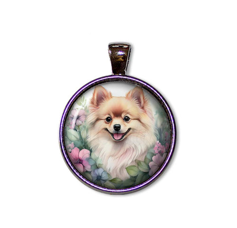 Sweet Pomeranian