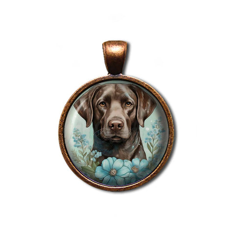 Cute Chocolate Labrador