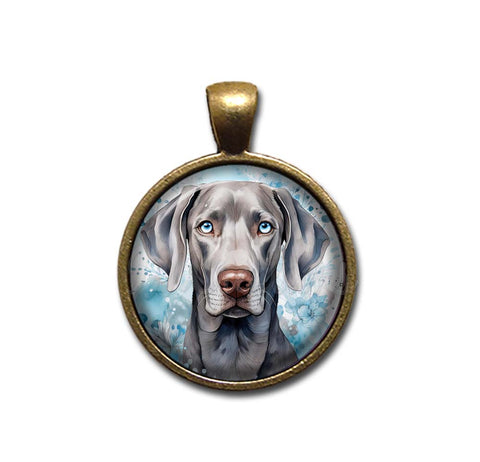 Blue Eyed Weimaraner