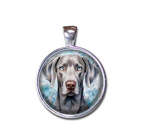 Blue Eyed Weimaraner