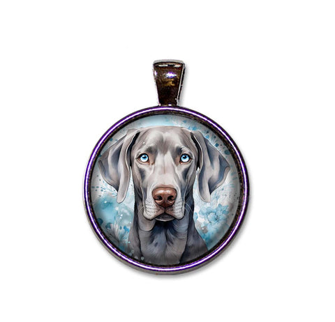 Blue Eyed Weimaraner