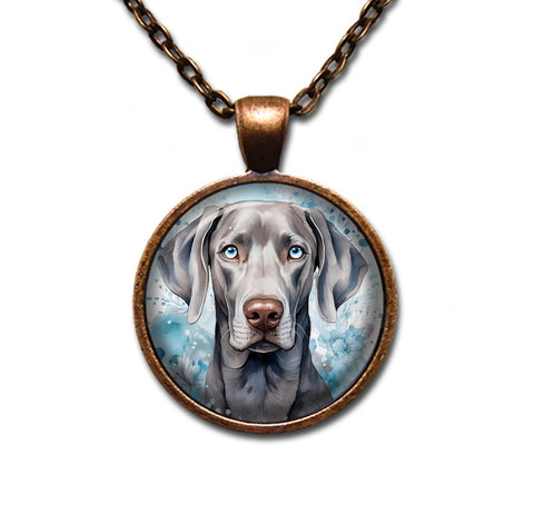 Blue Eyed Weimaraner