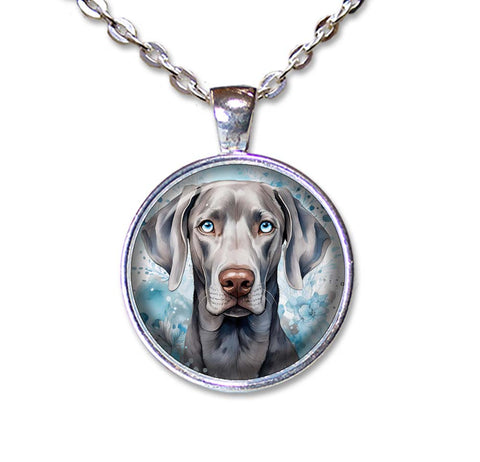 Blue Eyed Weimaraner