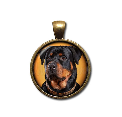 Confident Rottweiler Dog Lovers