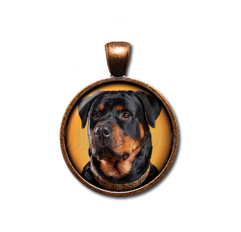 Confident Rottweiler Dog Lovers