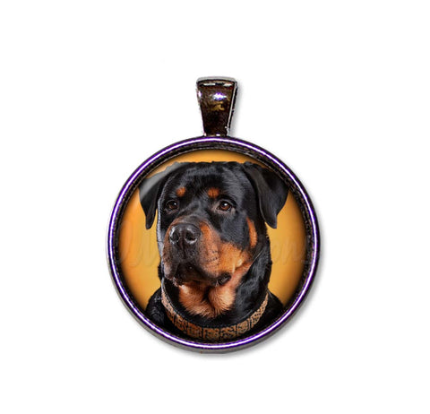 Confident Rottweiler Dog Lovers