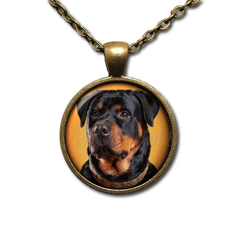 Confident Rottweiler Dog Lovers