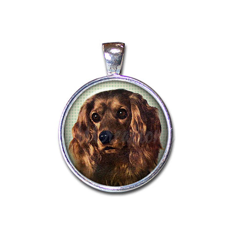 Sweet Cocker Spaniel
