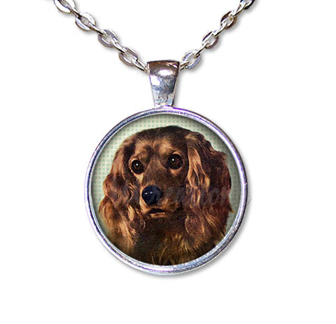 Sweet Cocker Spaniel