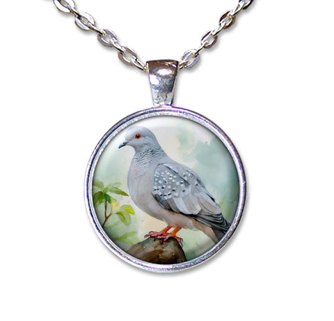 Diamond Dove