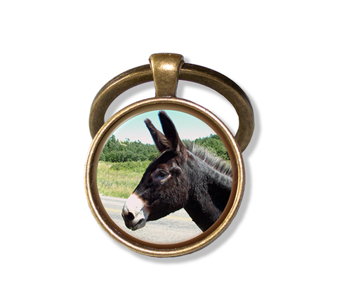 Docile Donkey