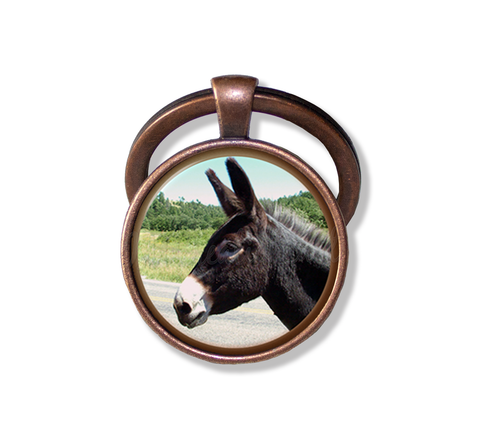 Docile Donkey