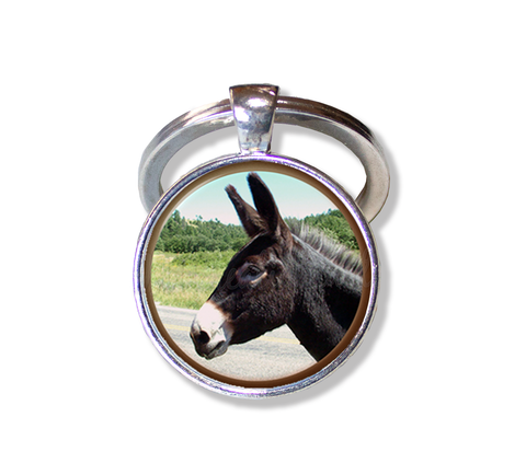 Docile Donkey