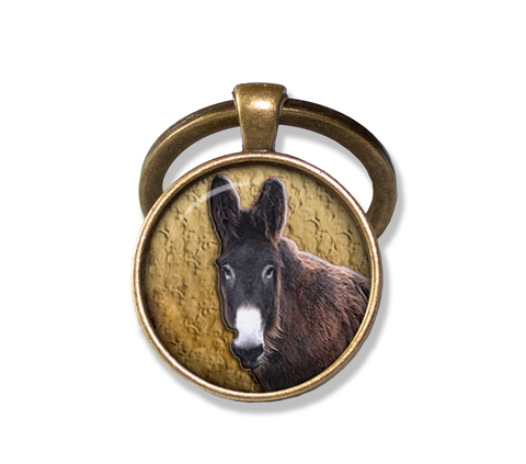 Poitou Mare Donkey