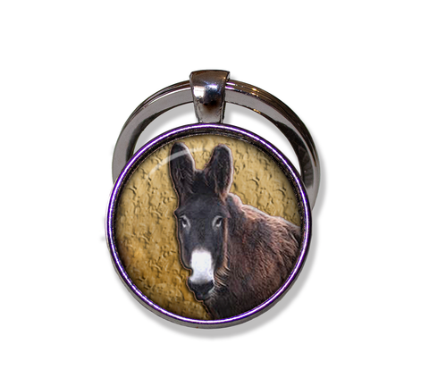 Poitou Mare Donkey