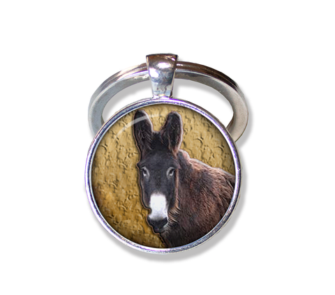 Poitou Mare Donkey