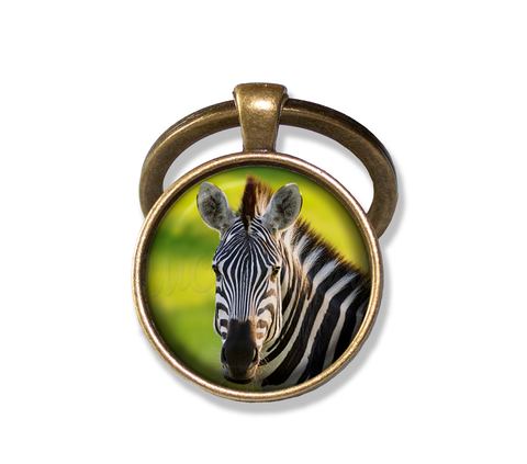 Beautiful Zebra