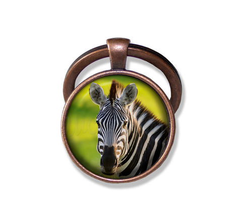 Beautiful Zebra