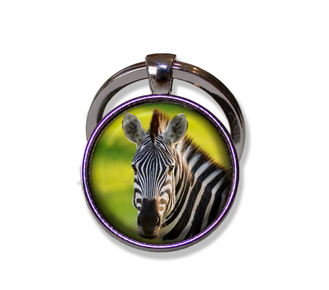 Beautiful Zebra