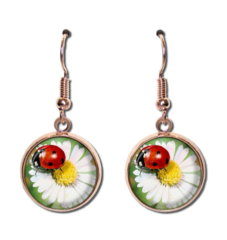 Ladybug Daisy Flower Nature Design