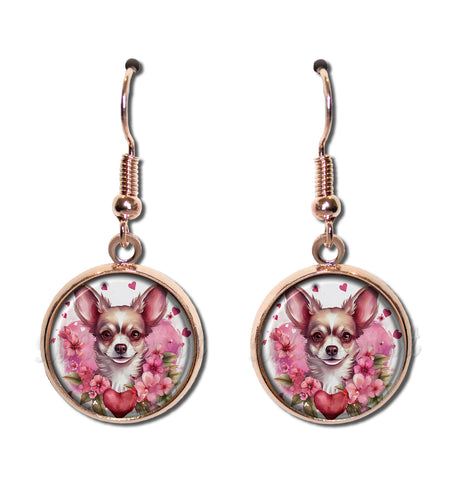 Cute Valentine's Chihuahua