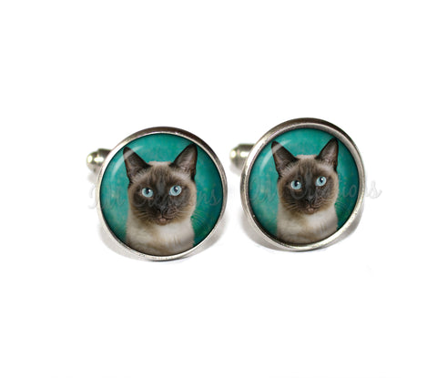 Siamese Cat on Teal
