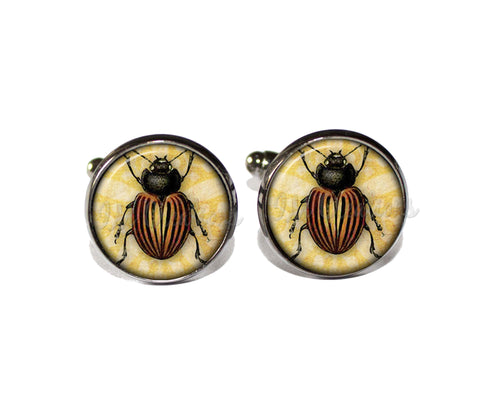 June Beetle