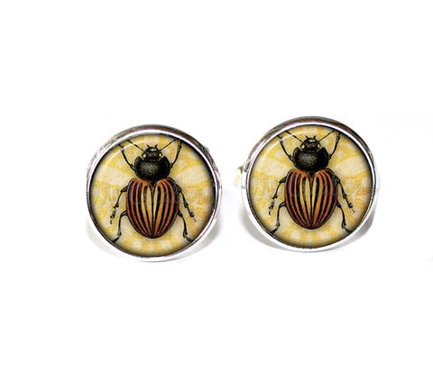 June Beetle