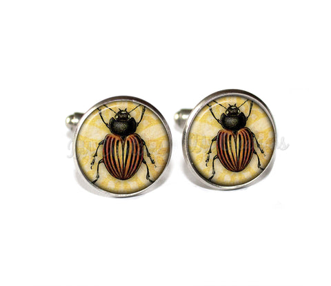 June Beetle