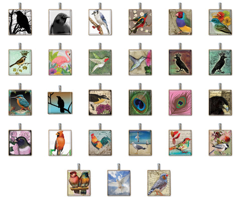 Pretty Bird Designs