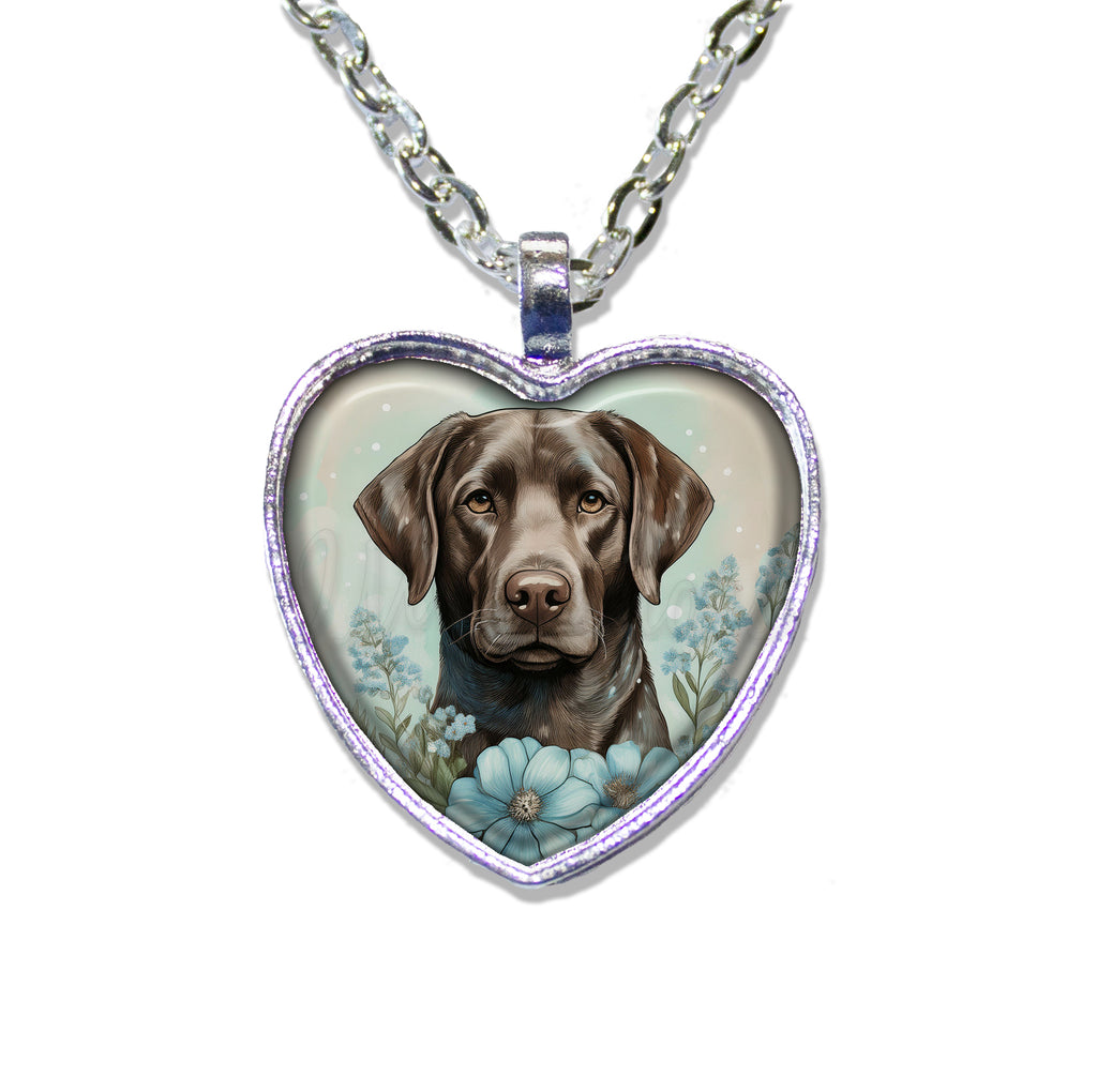 Sweet Chocolate Labrador