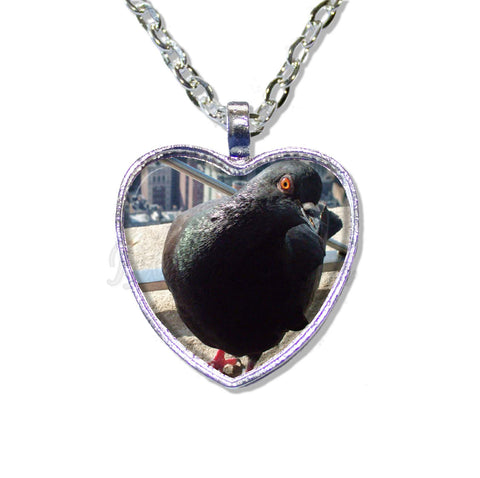 NYC Pigion Bird Lovers