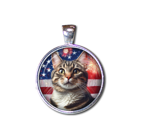 Patriotic Tabby Cat