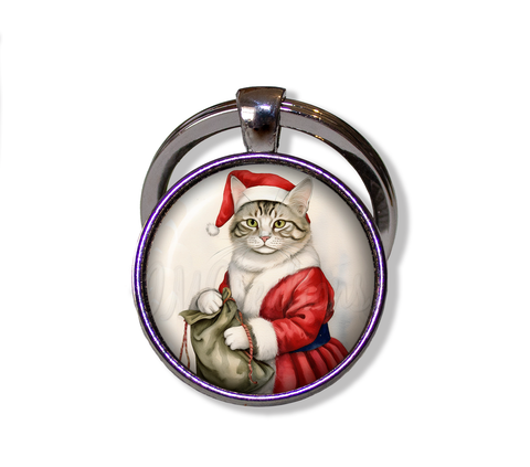 Santa Christmas Cat