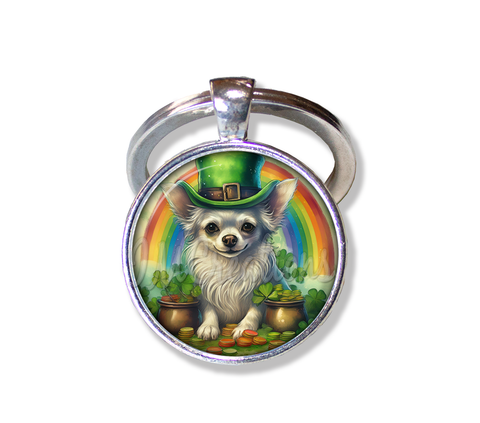 St Patrick's Day Chihuahua and Rainbow