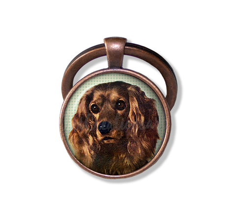 Sweet Cocker Spaniel