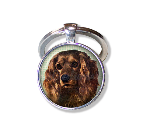 Sweet Cocker Spaniel