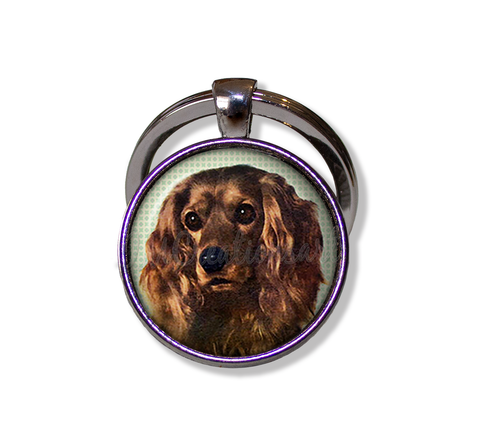 Sweet Cocker Spaniel