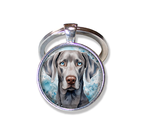 Blue Eyed Weimaraner