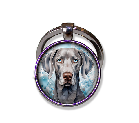 Blue Eyed Weimaraner