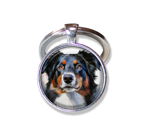 Australian Shepherd