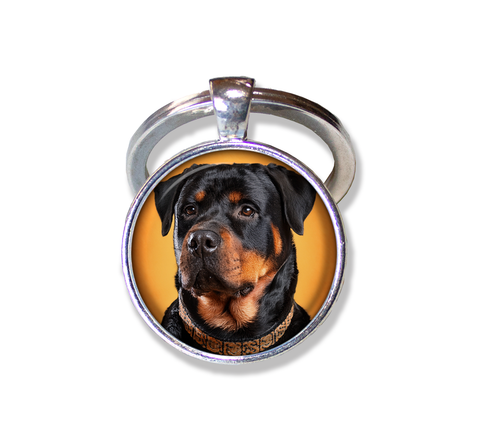 Confident Rottweiler Dog Lovers