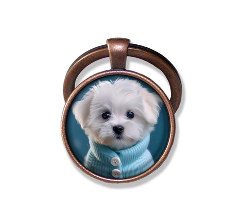 Adorable Maltese Puppy