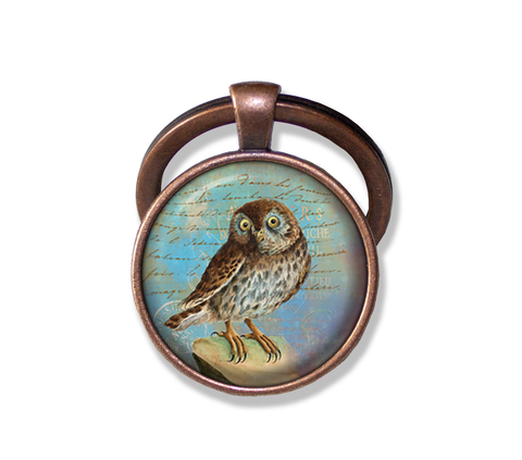 Sweet Perched Owl