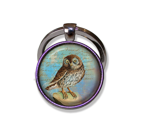 Sweet Perched Owl