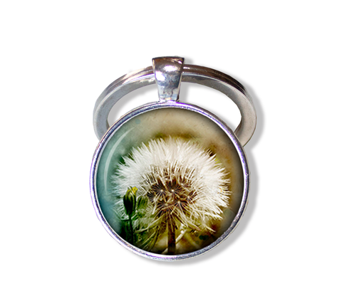 Stunning Dandelion