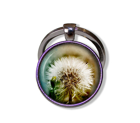 Stunning Dandelion